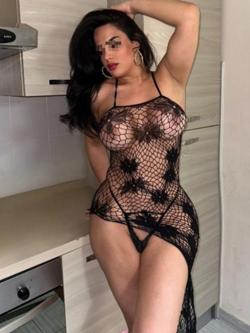 Trans 697120303