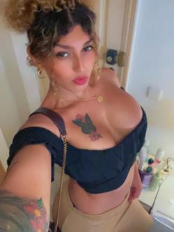 Trans 653723594