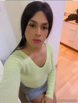 Trans 623249819