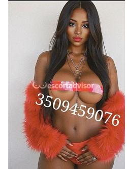 Escort 3509459076