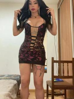 Trans 672829212