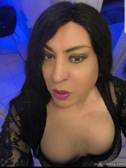 Trans 623412805