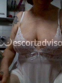 Escort 3311223613
