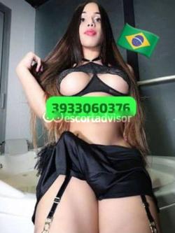 Trans 3933060376