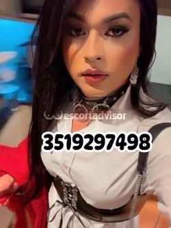 Trans 3519297498