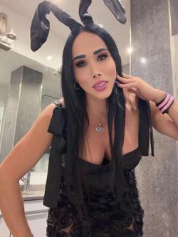 Trans 633129635