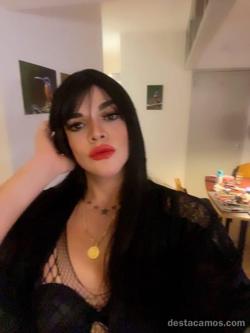 Trans 600482433