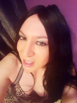 Trans 623412805