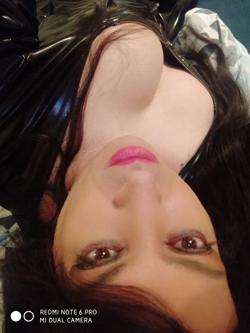 Trans 623412805