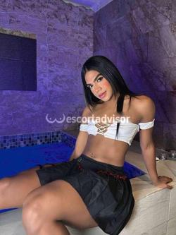Trans 3887243203