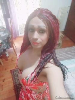 Trans 604958210