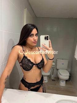 Trans 3923917549