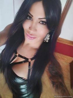 Trans 697229451