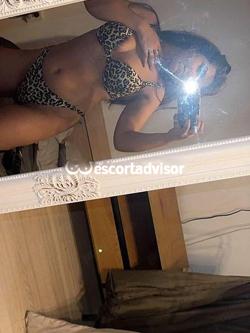 Escort 3755928034