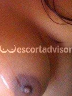 Escort 3511710614