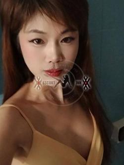 Escort 3511186688