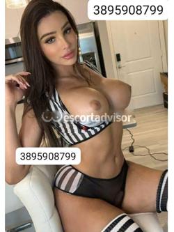 Trans 3895908799