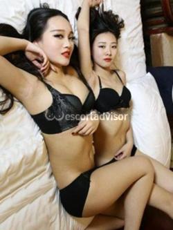 Escort 3483659686