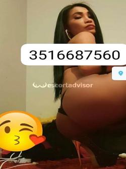 Trans 3516687560