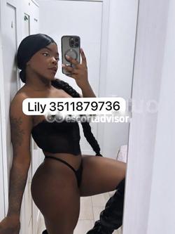 Escort 3511879736