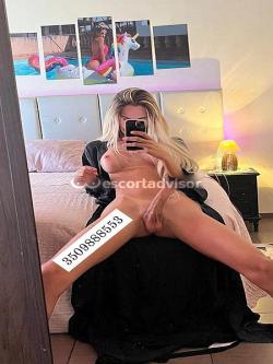 Trans 3509888553