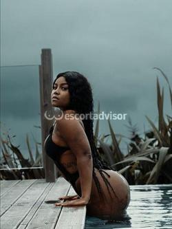 Escort 3512557177
