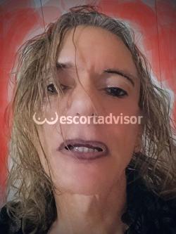 Trans 3534724844