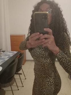 Trans 612290449