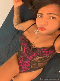 Trans 622409176