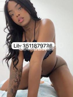 Escort 3511879736