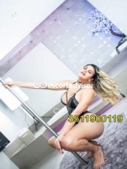 Trans 3511900119