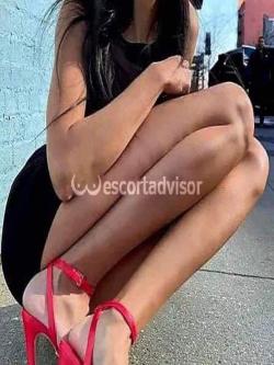 Escort 3512243327