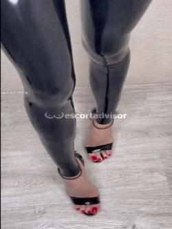 Escort 3533740066