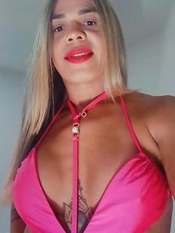 Trans 625993465