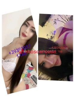 Trans 3920571186