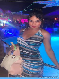 Trans 642268204