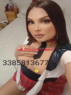 Trans 3385813677