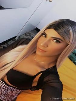 Trans 611297241