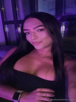 Trans 624233306