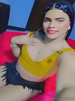 Trans 612246584
