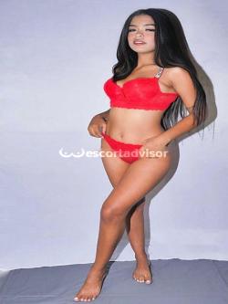 Escort 3533070557