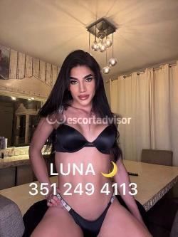 Trans 3512494113