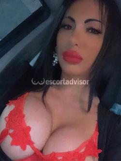 Trans 3512177161