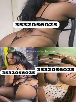 Trans 3532056025