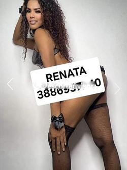 3886957240