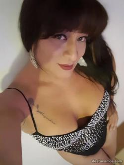 Trans 667580215