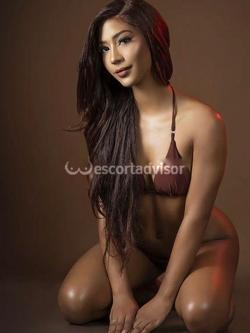 Escort 3446795531