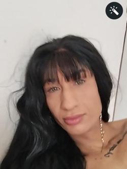 Trans 690761168