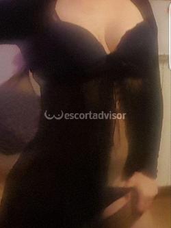 Trans 3534083894