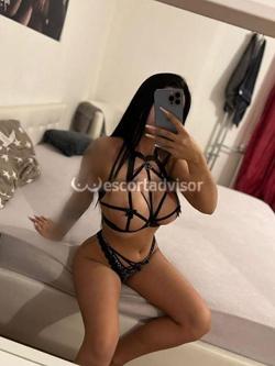 Escort 3508038115